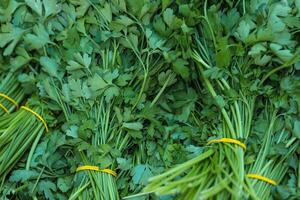 Close-up of bunches of green celery in a street food market. Sale of fresh herbs. Bunches of organic parsley tied with an elastic band. Fresh herbs on display at grocery store. Selective focus. photo