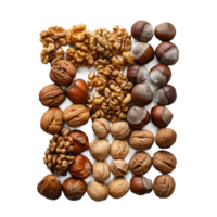 ai gegenereerd een dichtbij omhoog van noten inclusief walnoten, pecannoten, en hazelnoten png