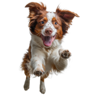 AI generated A dog is jumping in the air with its tongue out png