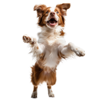 ai gegenereerd een hond is jumping in de lucht en het is gelukkig png