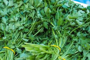 Close-up of bunches of green celery in a street food market. Sale of fresh herbs. Bunches of organic parsley tied with an elastic band. Fresh herbs on display at grocery store. Selective focus. photo