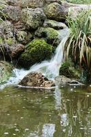 pequeño cascada. agua es que cae abajo dentro el minúsculo estanque en el medio de el anillo parque en el pueblo de wuerzburgo. klein niza parque. corriente de agua. verde plantas, verdoso lago foto