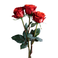 ai généré magnifique rouge des roses avec une transparent Contexte png