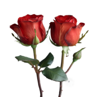 ai généré vibrant rouge des roses avec une clair Contexte png