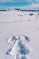 silueta de un nieve ángel en un soleado Nevado llanura en un montaña Valle foto