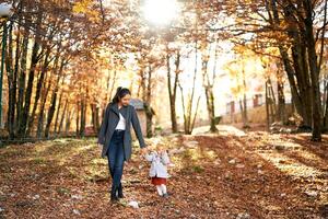 Mom and little girl walk hand in hand through fallen leaves in a sunny park photo