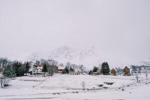 Snowy village among trees at the foot of the mountains photo