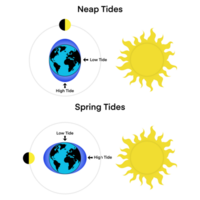 tidvatten, måne, Sol och jorden, på vilket sätt hav tidvatten är orsakade förbi de gravitation dra av de måne och de Sol, tidvattens- fenomen, gravitation krafter mellan jorden, måne, och Sol, låg tidvatten och hög tidvatten png