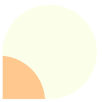 infográfico solteiro elemento, gráfico e diagrama descrição para apresentação png