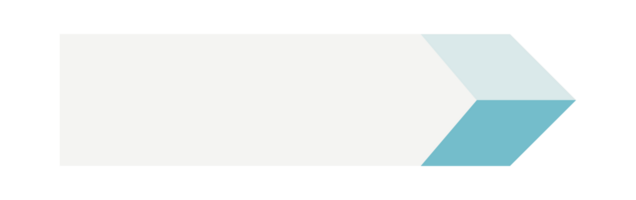 Infographic List Single Element, List Description for Presentation png