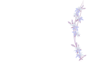 lelie bloemen kader ornament banier Aan achtergrond png