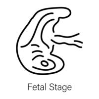 Trendy Fetal Stage vector