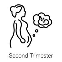 Trendy Second Trimester vector