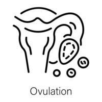 Trendy Ovulation Concepts vector