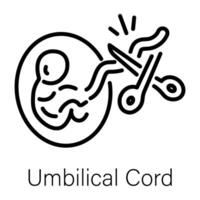 Trendy Umbilical Cord vector