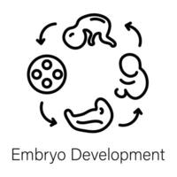 Trendy Embryo Development vector