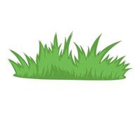 Grass Cartoon Illustration Vector