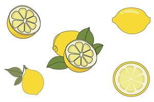 Lemons with leaves outline vector isolated on white background. Lemon icon collection vector illustrations.