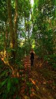 caucásico mujer es corriendo en tropical selva, Tailandia video