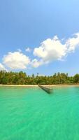 A dynamic drone flight over turquoise ocean, white sand beach and palm trees. video