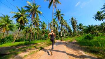 kvinna kör längs en naturskön väg med handflatan träd på tropisk ö, thailand video