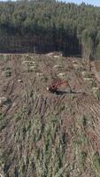 Vertikale Video von Abholzung Antenne Aussicht