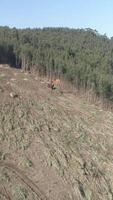 vertikal video av avskogning antenn se