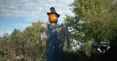 Halloween Pumpkin Scarecrow At Pumpkin Patch video