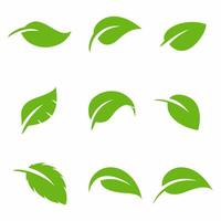 leaf logo vector template illustration