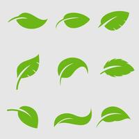 leaf logo vector template illustration