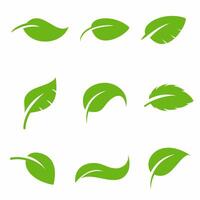 leaf logo vector template illustration