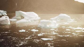 un activement vêlage glacier avec faune video