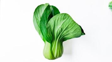 Fresh Bok Choy Isolated for Nutrition Concepts photo
