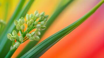 AI generated A detailed close up of wild leek plant with identifiable features, isolated on a gradient background photo