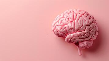 AI generated Human brain model on a pink background, concept for neurology, psychology, and education photo