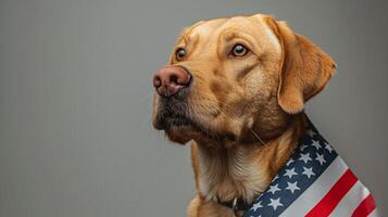 ai generado cerca arriba de un solemne enfrentó amarillo Labrador perdiguero envuelto en un americano bandera, representando patriotismo, posiblemente para Días festivos me gusta monumento día o independencia día foto