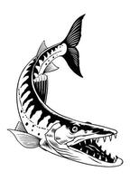 Barracuda Fish Illustration Isolated Black and White vector