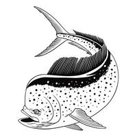 Dorado Fish Illustration in Black and White vector