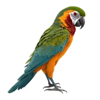 ai generiert Papagei Vogel isoliert auf transparent Hintergrund png