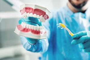 A model of a human jaw with teeth and a toothbrush in the dentist's hand photo