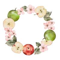 Watercolor blooming apple tree branches, green and red ripe Apples wreath. Hand drawn apple slices illustration for juice pack, card, invitation, tags vector