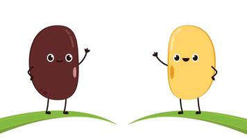 Soybean vector. Soybean character design. vector