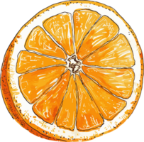 Orange half fruit food decoration. png