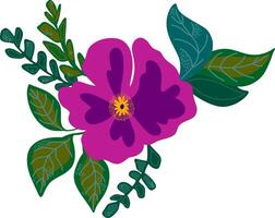 a purple flower with green leaves on a white background vector