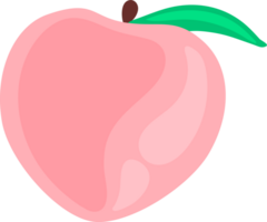 fofa Rosa elementos png