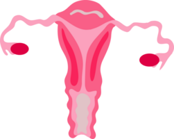 menstruel périodes élément png