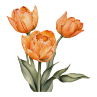 ai genererad blommor clipart, generativ ai. png