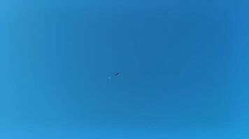 fragata aves rebaño mosca alrededor el Luna azul cielo México. video