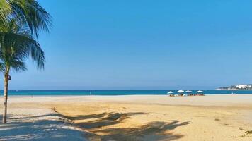 paumes des parasols Soleil chaises longues plage gens zicatelle puerto escondido Mexique. video