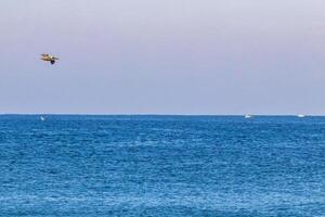 Beautiful pelican bird pelicans birds flying over the sea Mexico. photo